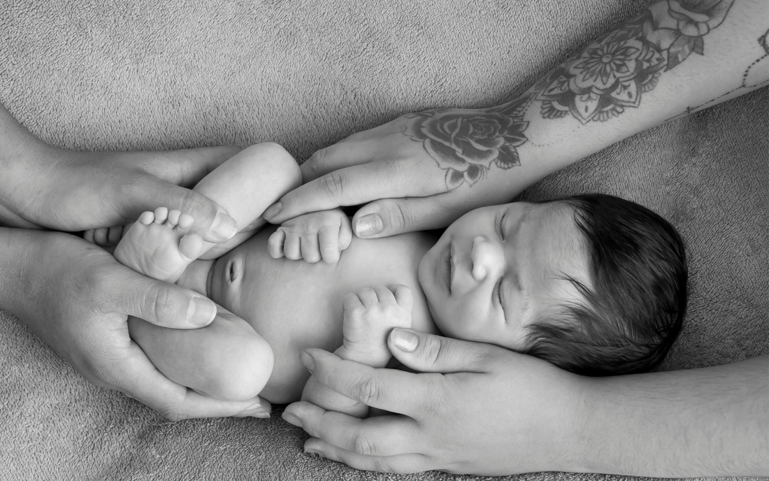 Life is Scripted - The Illusion of Free Will